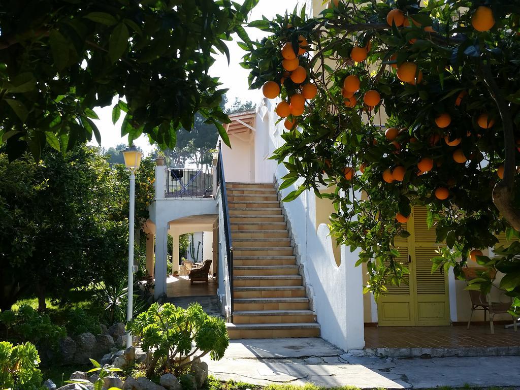 Flor Amistad Παγκουέρα Εξωτερικό φωτογραφία